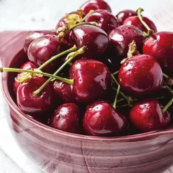 Cherry 'Stella' Bare Root -Plants Sales Store 2207