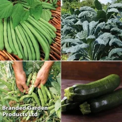 Allotment Seed Collection -Plants Sales Store ALLO KC9289 C