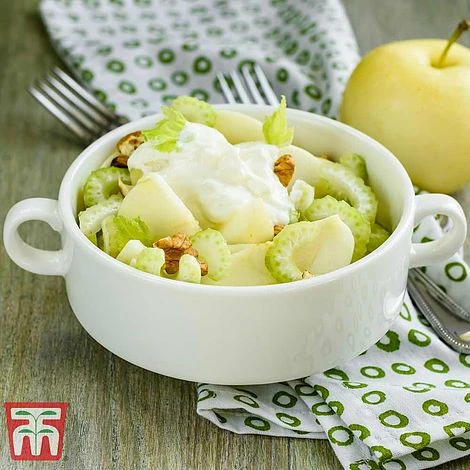 Apple 'Golden Delicious' 4 Apple 'Golden Delicious' - Image 4