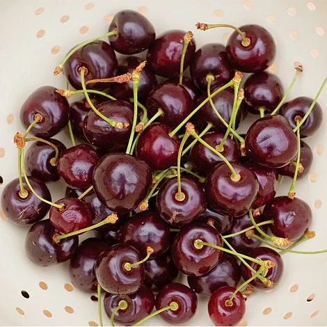 Cherry 'Hartland' (patio) 2 Cherry 'Hartland' (patio) - Image 2