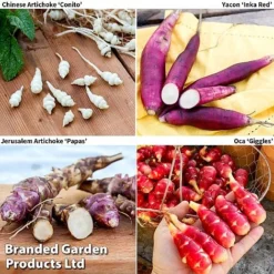 Gourmet Roots Collection