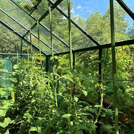 Telescopic Extendable Tomato & Cucumber Climbing Plant Support Stakes 2 Telescopic Extendable Tomato & Cucumber Climbing Plant Support Stakes - Image 2
