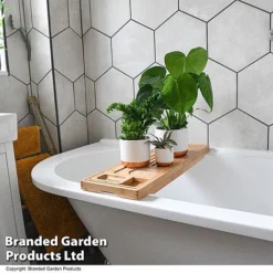 Green Houseplants Bathroom Trio -Plants Sales Store HOUS BATHRTRIO T43636