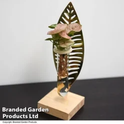 Hydroponic Collection On Display Stand -Plants Sales Store HYDR COLLDISPL T49399