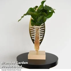 Hydroponic Collection On Display Stand -Plants Sales Store HYDR COLLDISPL T49401