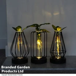 Hydroponic Collection In Turin Glass -Plants Sales Store HYDR LEDTURING T49876