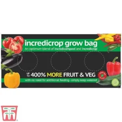 Vegetable Bumper Pack -Plants Sales Store INCR TKA2825 A1