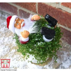 'Mind Your Own Business' Santa - Gift -Plants Sales Store MIND WGKB7085 C