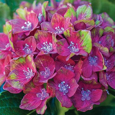 Perfect Patio Collection 3 Perfect Patio Collection - Image 3