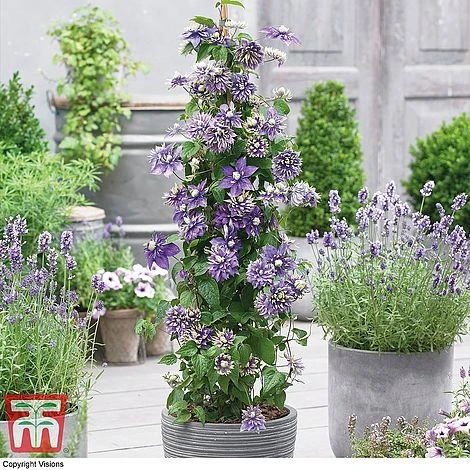 Perfect Patio Collection 4 Perfect Patio Collection - Image 4