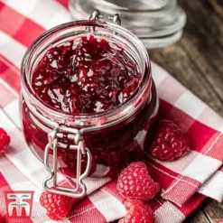 Raspberry 'Yummy' -Plants Sales Store RASP RECIPE CUL 3