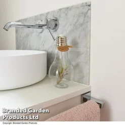 Airplant (Tillandsia) In A Light Bulb (Medium) -Plants Sales Store TILL LIGHTBULB T49714