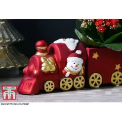 Train Set - Gift -Plants Sales Store TRAI WGKB7083 C