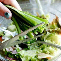 Allium 'Quattro' -Plants Sales Store VEALL35203