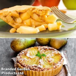 Fruit Tree Staple Duo -Plants Sales Store appe