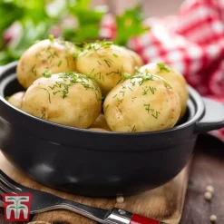 Potato 'T&M Favourites Collection' -Plants Sales Store arran2