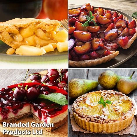 Mini Orchard Collection 2 Mini Orchard Collection - Image 2