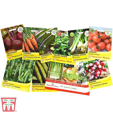 Onion, Shallot & Garlic Saver Pack 2 Onion, Shallot & Garlic Saver Pack - Image 2